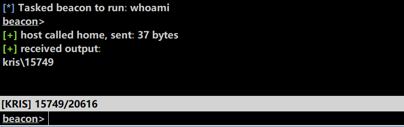 image-20201215213105909