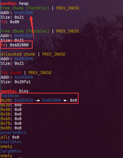 image-20211226155742407